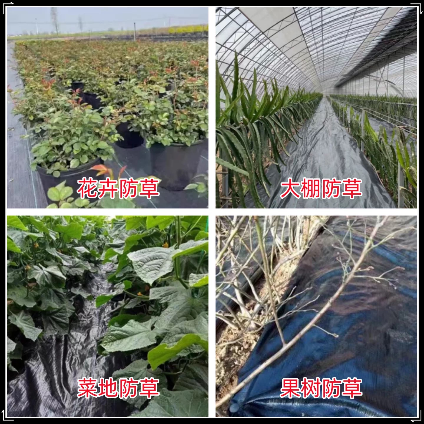 宁德市防草布防草布 - 一站式服务
